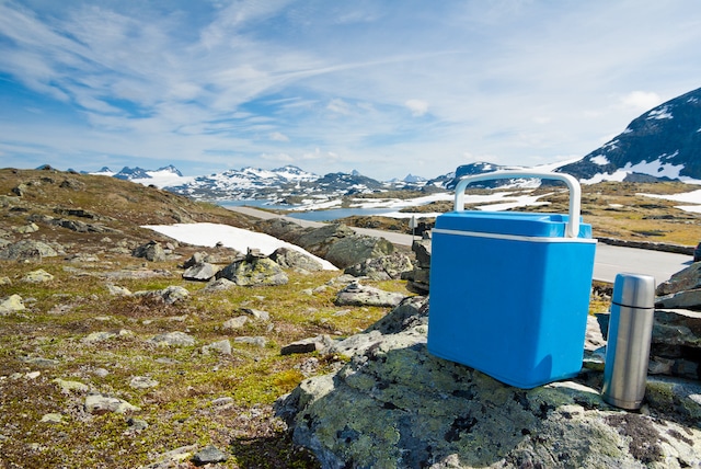 How To Choose The Best Coolers For Camping 1 Best Coolers For Camping